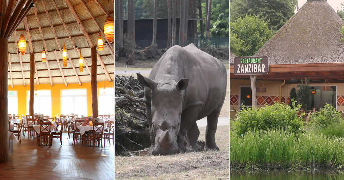 Einführung Warenwirtschaftssystem Orgasoft.NET Serengeti-Park