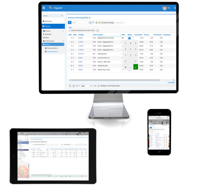 orgasoft.net anywhere modul