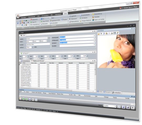 Artikelverwaltung im Warenwirtschaftssystem Orgasoft.NET